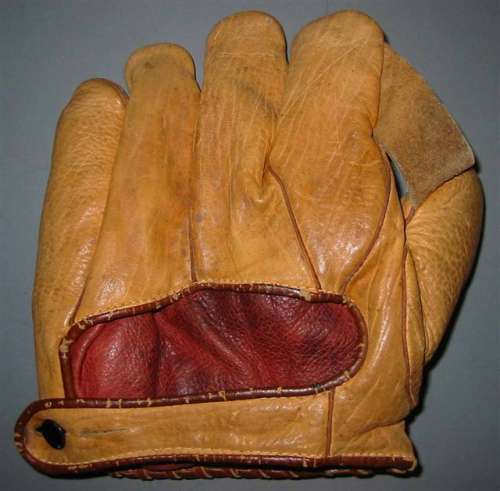 Yellow 1 Inch Web Back